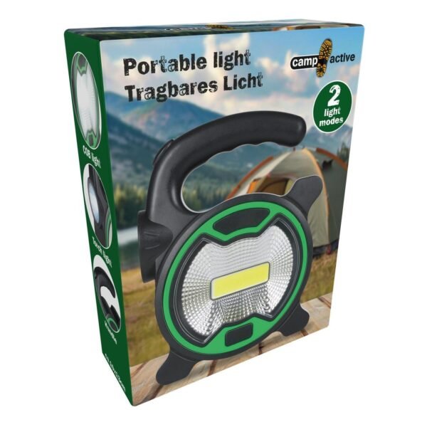 Portable light