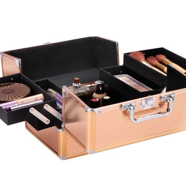 Cosmetic case