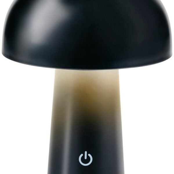 Mushroom table lamp